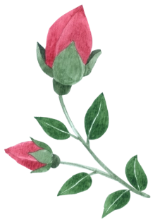 Best Wedding Flower And Caterer Services Near me in Chennai